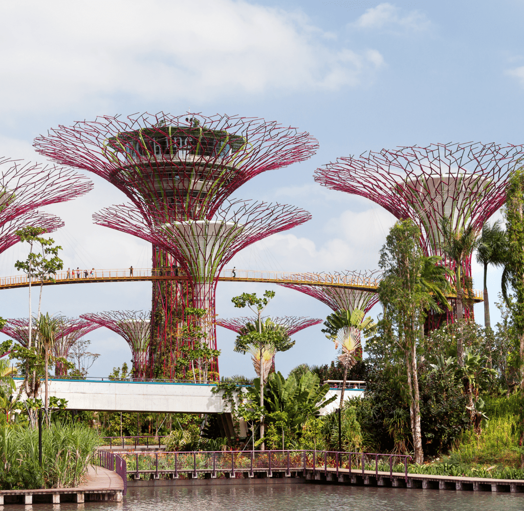 Gardens by the Bay Singapore. Beim abendlichen Spaziergang unserer Delegation nach den Firmenbesuchen.